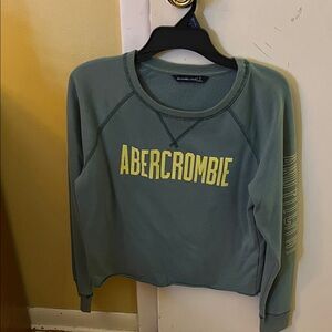 Abercrombie & Fitch Olive Crew Neck Sweater